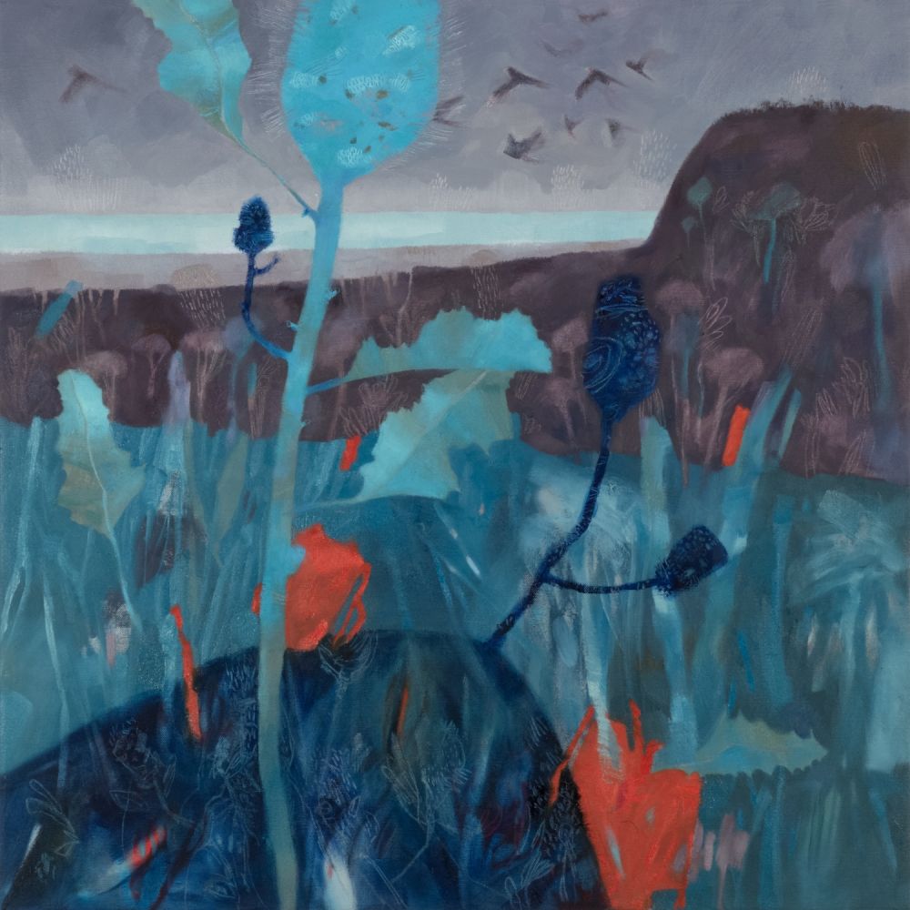 AW2402 A love letter to swamp banksia AW Web