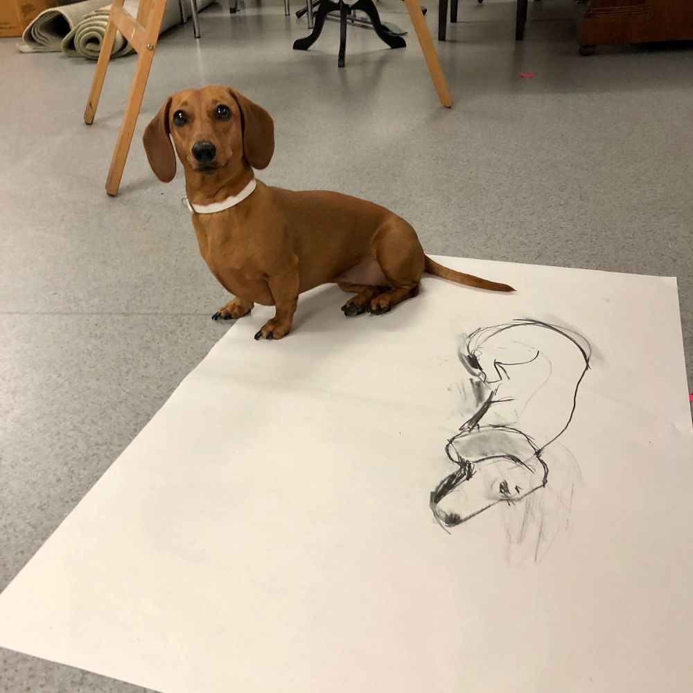 Puppy Life drawing with CR W