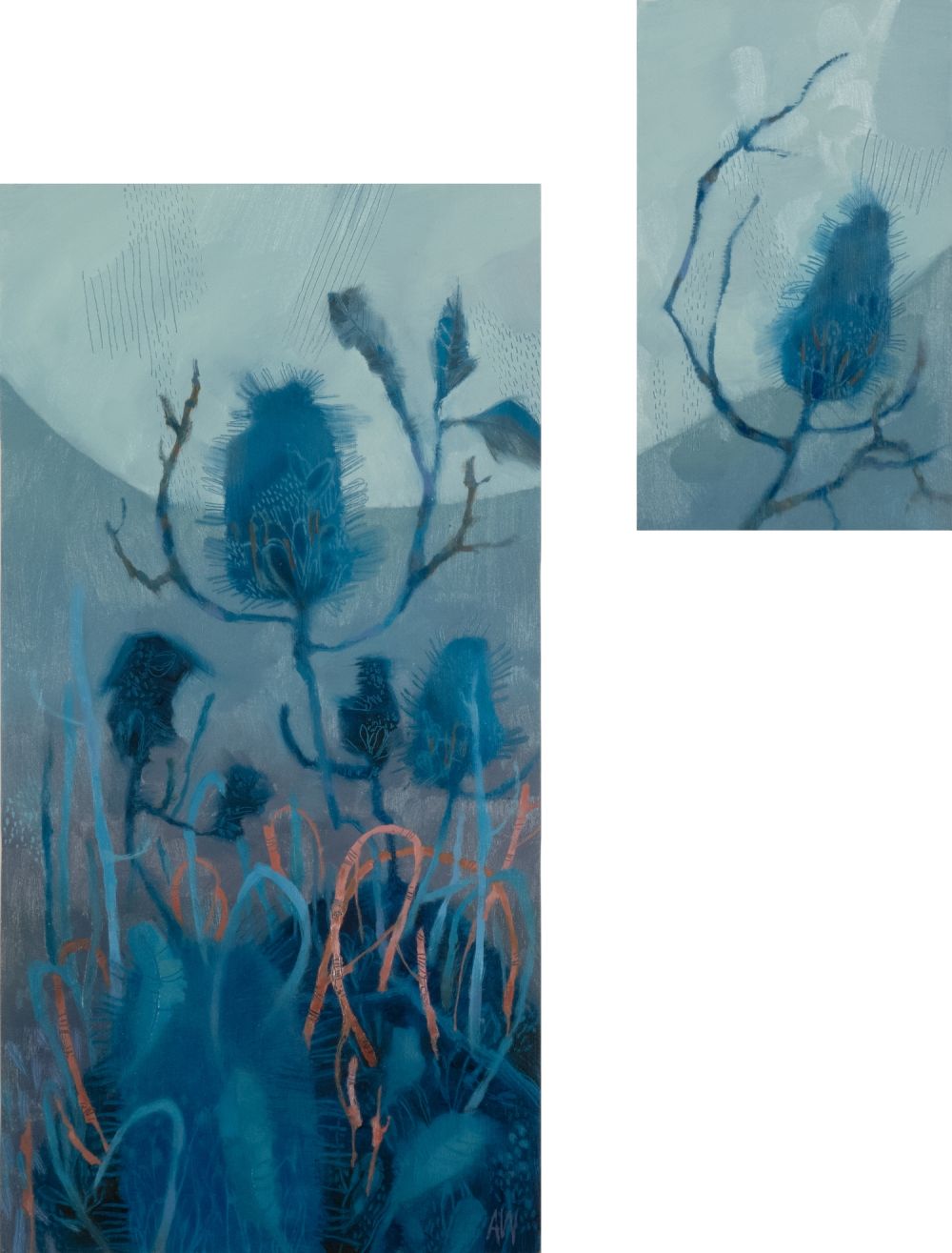 AW2414 Little banksia moon AW Web