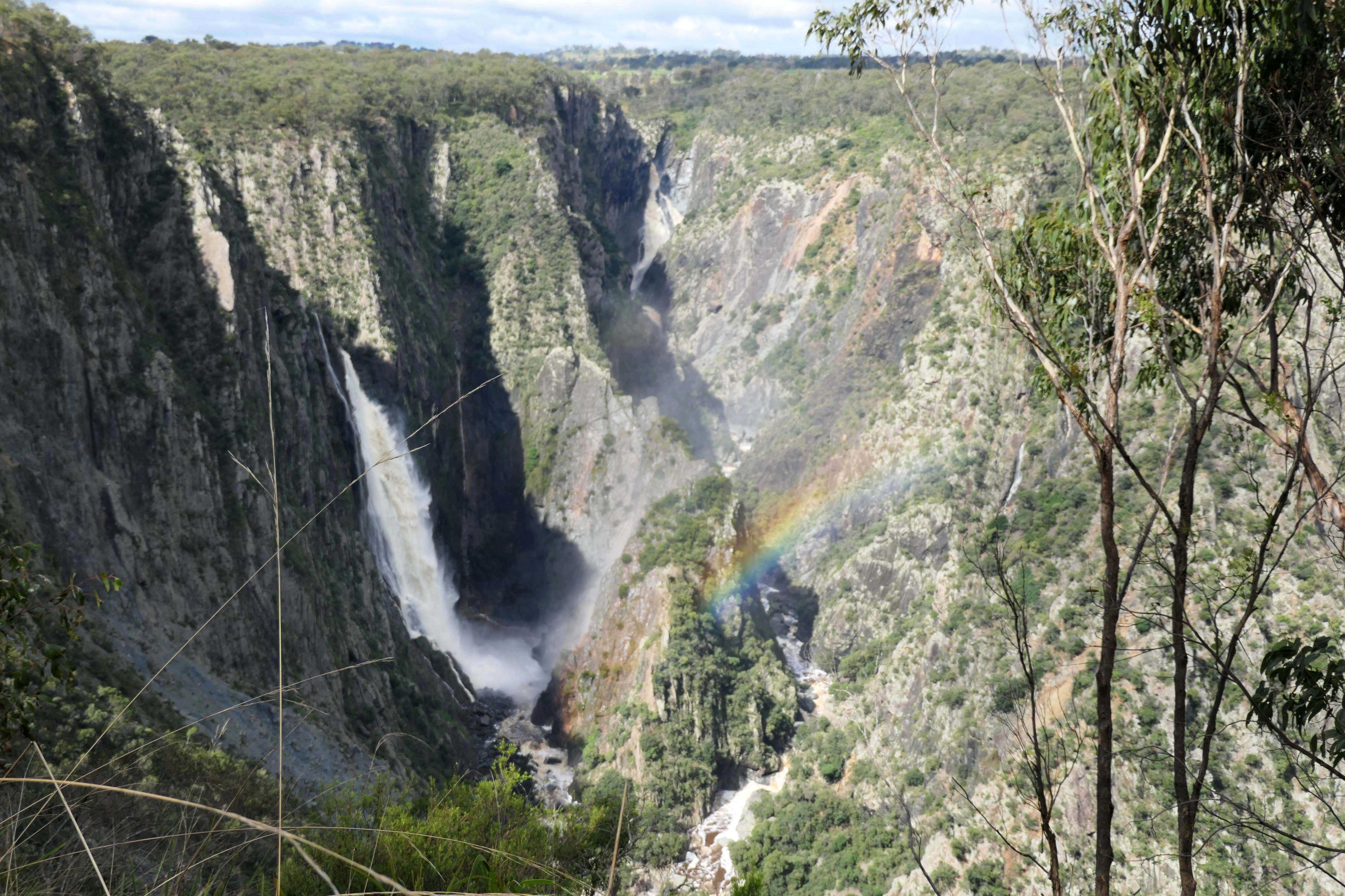 Wollomombi in sunshine