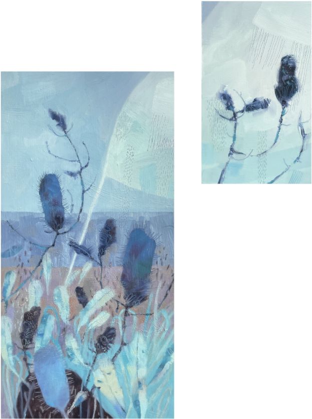 Little banksia dream AW web